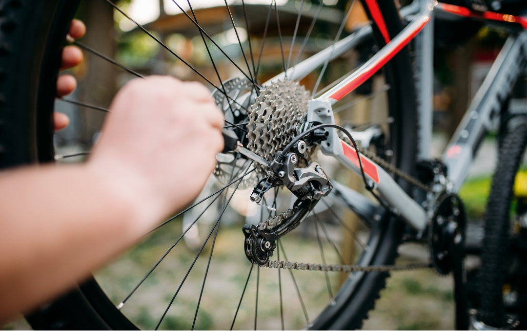 Bicycle repair service in Abu Dhabi