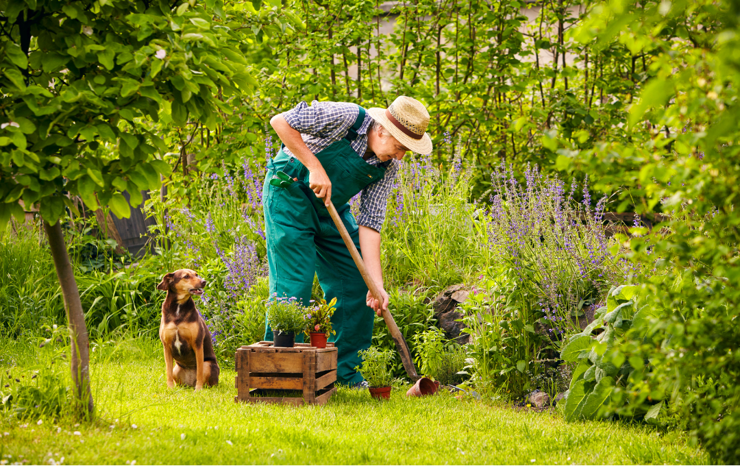 Gardening and Landscaping Services in Abu Dhabi