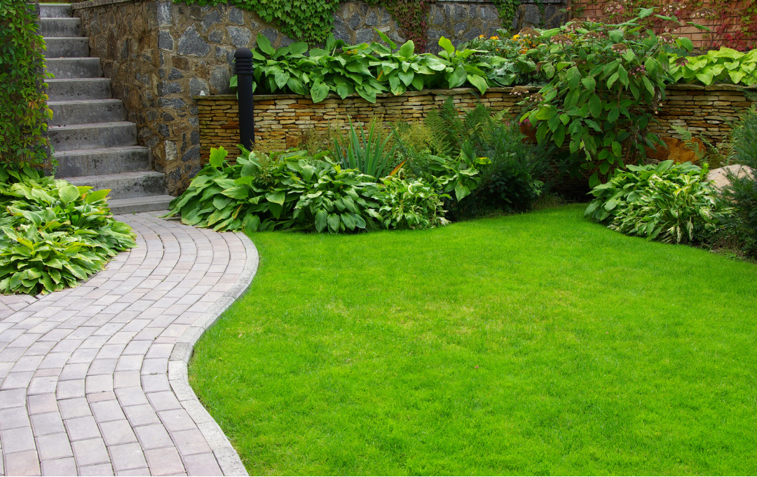 Garden Maintenance in Abu Dhabi